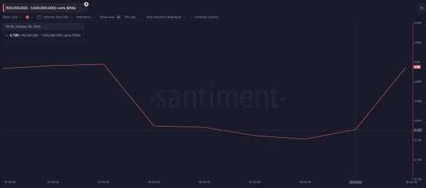 Что покупают криптокиты после снижения ставок ФРС Что покупают криптокиты после снижения ставок ФРС