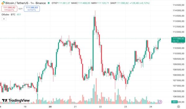 Соло-майнер добыл блок в сети биткоина и заработал $347 455 Соло-майнер добыл блок в сети биткоина и заработал $347 455