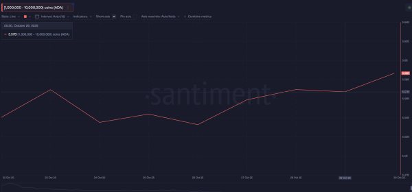 Что покупают криптокиты после снижения ставок ФРС Что покупают криптокиты после снижения ставок ФРС