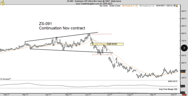 Том Ли предупреждает: биткоин может упасть на 50%, несмотря на институциональный интерес Том Ли предупреждает: биткоин может упасть на 50%, несмотря на институциональный интерес