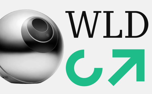 Какие токены сильнее всего выросли после обвала биткоина. Топ-5 монет