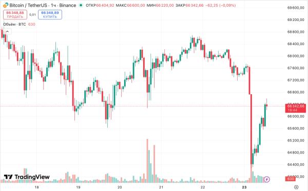 Активность в сети биткоина упала до минимума за полгода