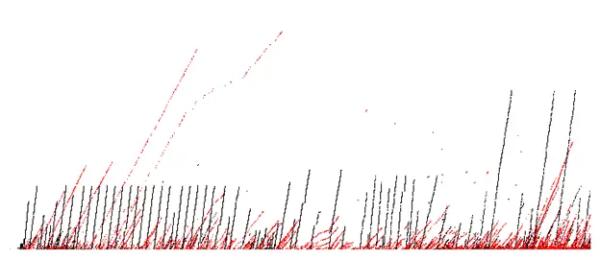 Ищем и находим самые первые биткоины: что такое Патоши-майнинг Ищем и находим самые первые биткоины: что такое Патоши-майнинг