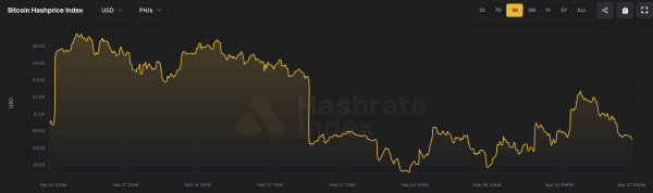 Майнер Cango отключил треть мощностей ради экспансии в сферу ИИ
