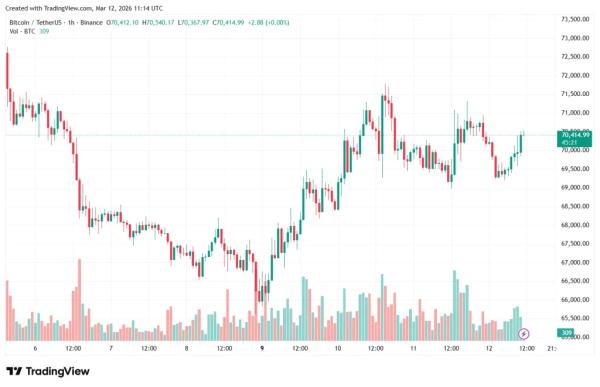 Трейдеры опционами поставили на рост биткоина до $80 000