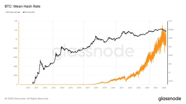 ИИ не убьёт майнинг биткоина, говорит аналитик ван де Поппе, поскольку хешрейт остаётся высоким ИИ не убьёт майнинг биткоина, говорит аналитик ван де Поппе, поскольку хешрейт остаётся высоким