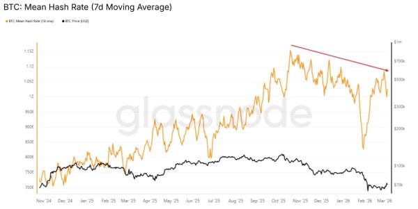 Биткоин-майнер Cango отключил 30% хешрейта