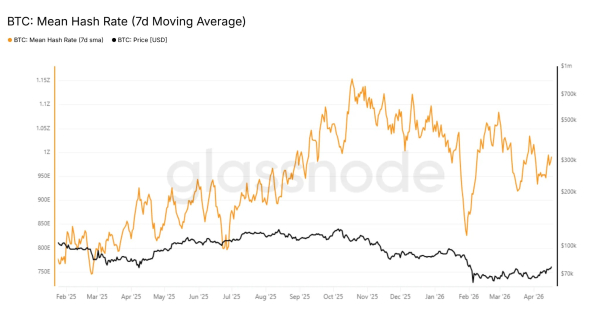 Сложность майнинга биткоина сократилась на 2,4%