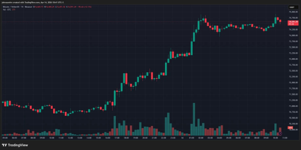 Биткоин закрепился выше $74 000