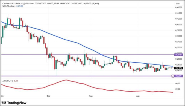 Разоблачение Накамото и Трамп спасли биткоин от падения: что дальше