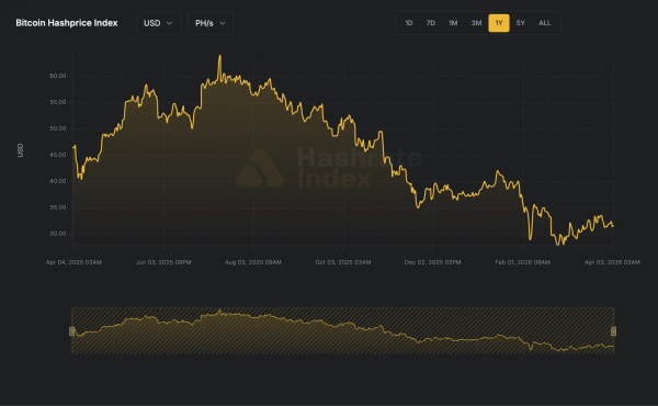 Соло-майнер добыл блок биткоина и заработал $210 000 Соло-майнер добыл блок биткоина и заработал $210 000