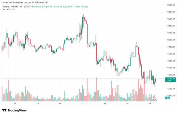 Биткоин уперся в &laquo;стену&raquo; из опционов у отметки $80 000