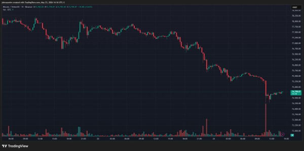 Биткоин рухнул ниже $75 000 Биткоин рухнул ниже $75 000