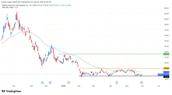 Акциям BitMine грозит падение из-за резкого оттока средств из ETF-Ethereum
